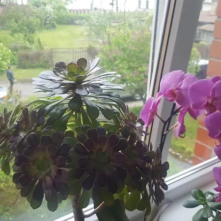 Apartment Blue River Jurmala